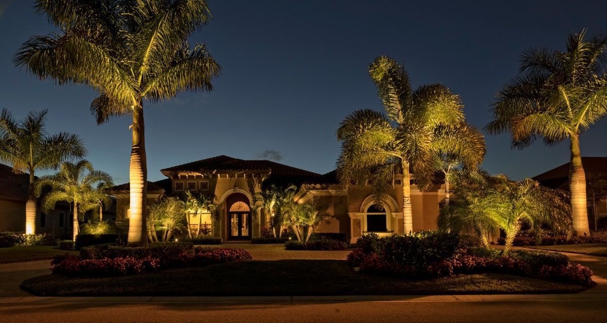 A large house with palm trees lit up at night.