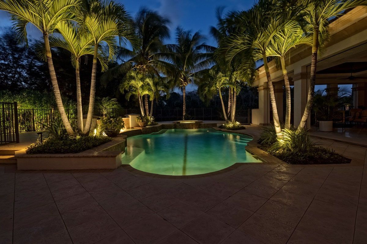 Night view of a pool surrounded by palm trees, illuminated by spotlights.
