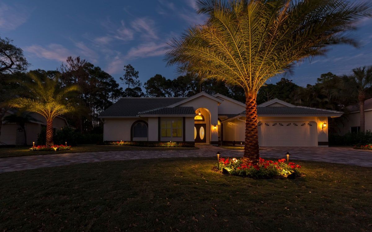 House exterior at dusk, illuminated palm trees, driveway, and flowerbeds.