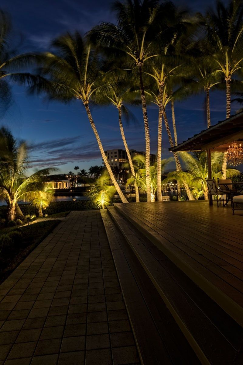 Palm trees illuminated at dusk, path and deck lead to structures under a twilight sky.
