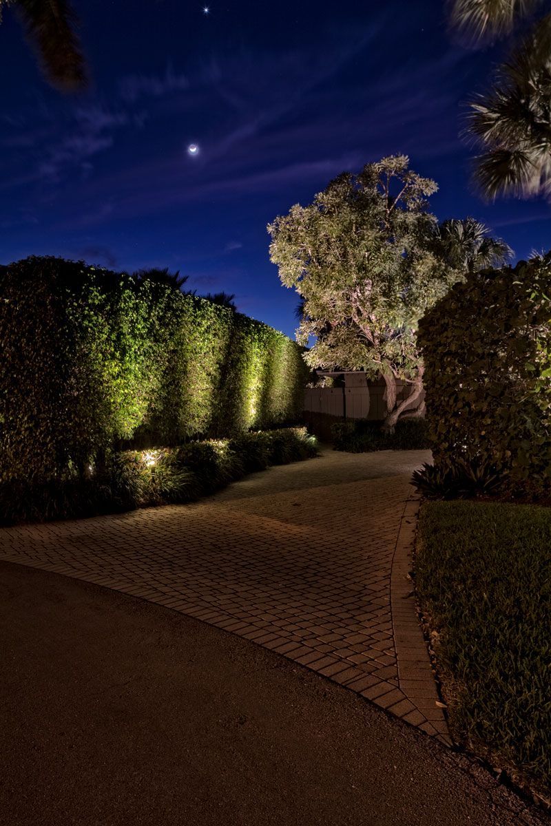Driveway lit at night with hedges and a tree under a blue sky.