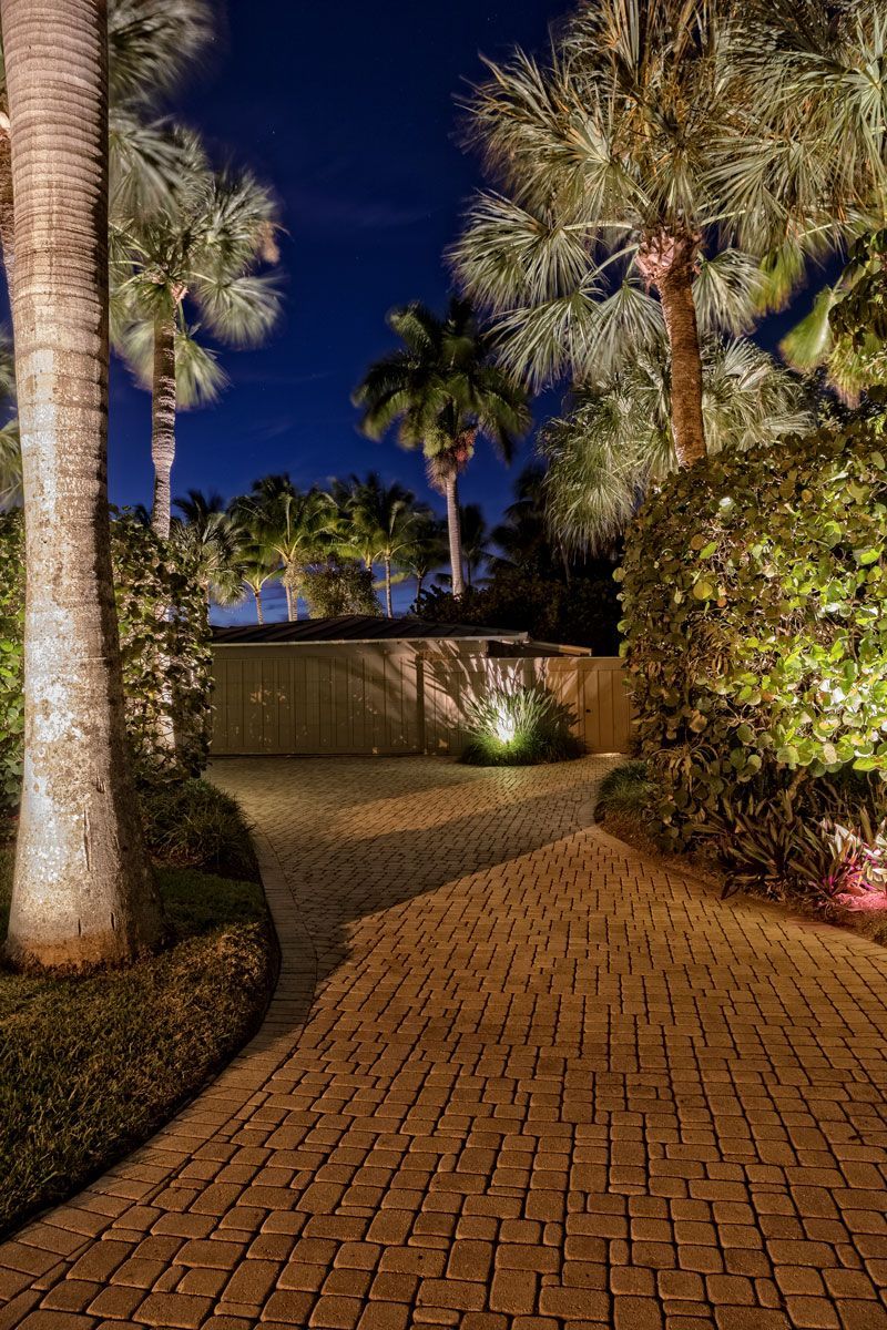 Brick driveway curving through a tropical landscape at night; palm trees and lit foliage under a dark blue sky.