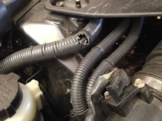 Damaged black wiring harness in a car engine compartment.