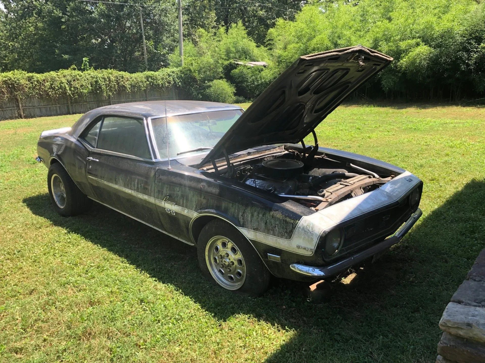 A black classic car with hood open, parked on grass in daylight.