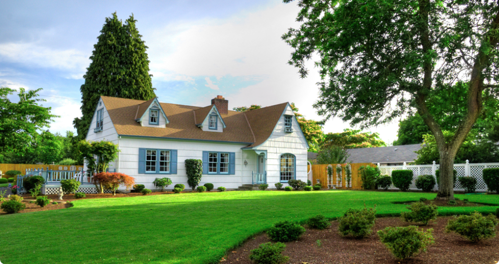 Landscape design