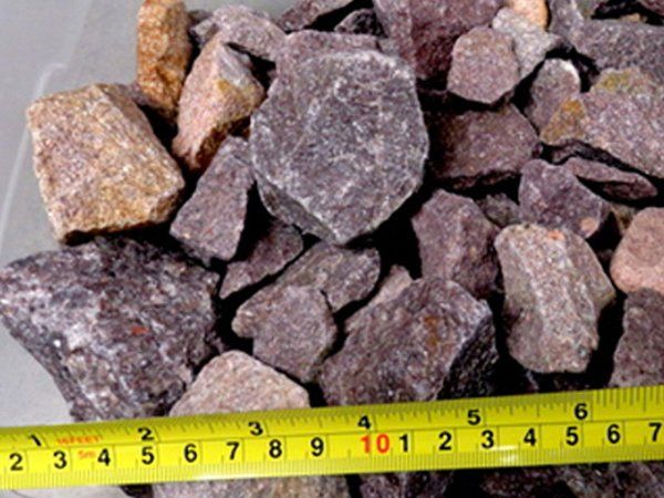 Large Purple Passion 1 1/2