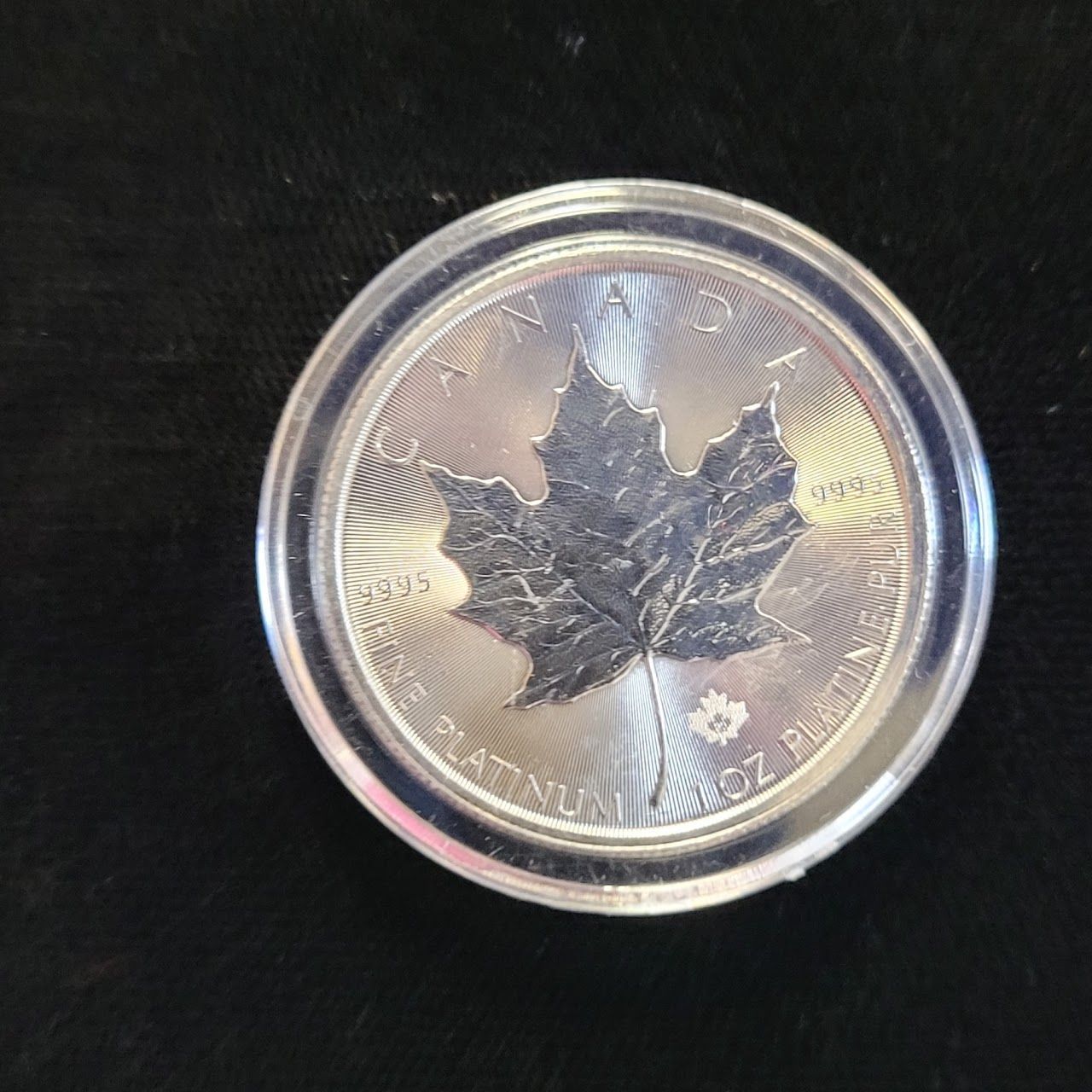 Silver coin with a maple leaf design, in a protective case.