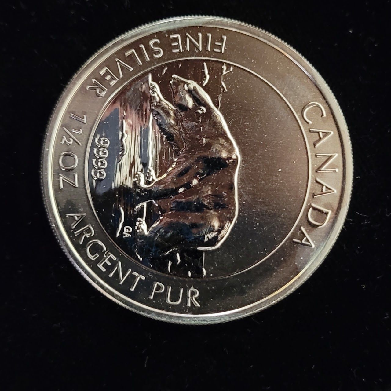 Silver coin with a bear design, 