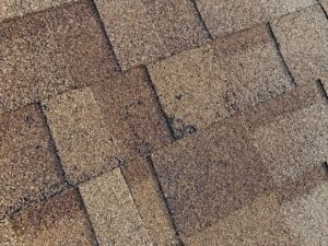 Close-up of weathered brown asphalt roof shingles.
