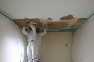 Two people in protective suits remove damaged ceiling. Room is painted white.