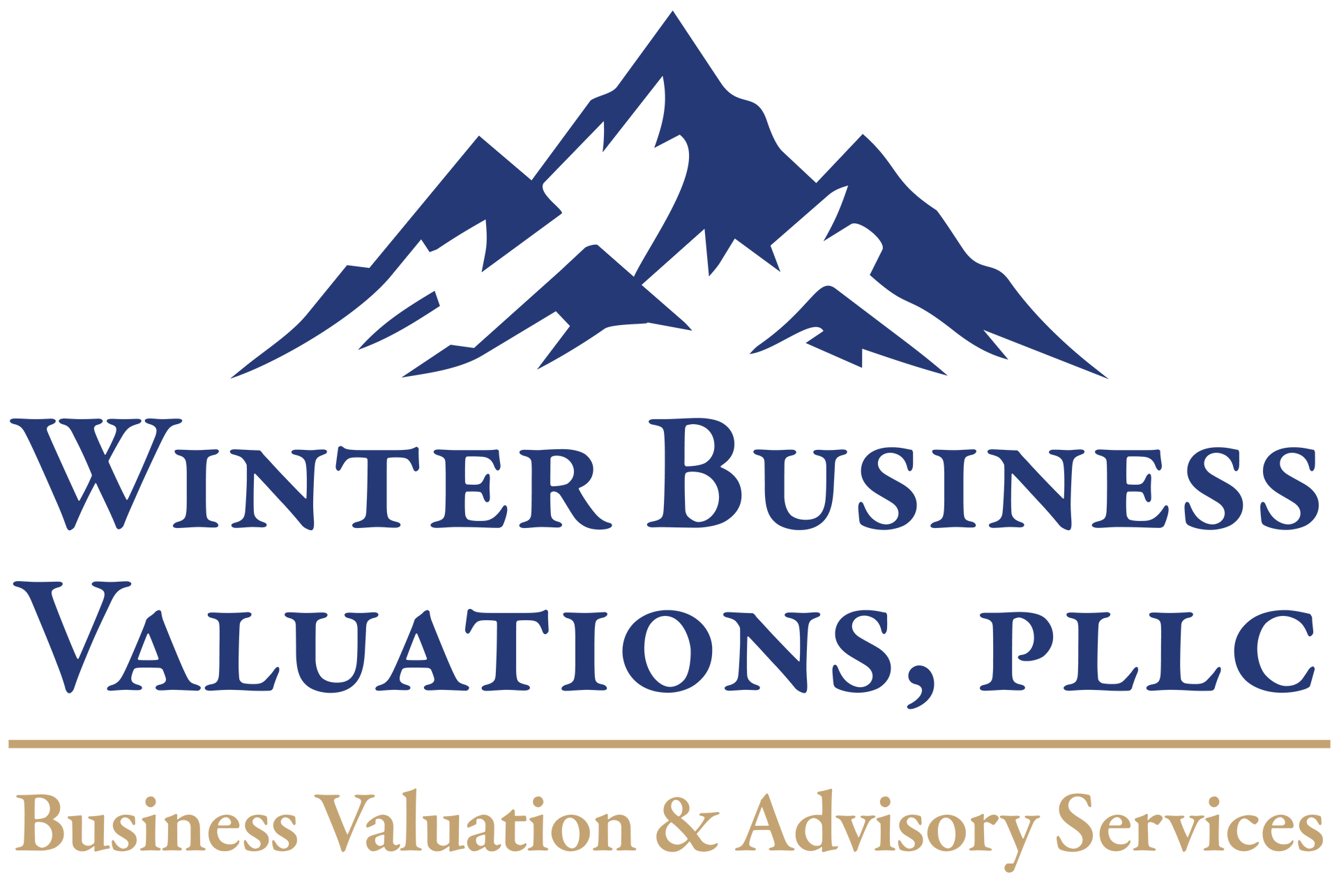 Winter Business Valuations- logo