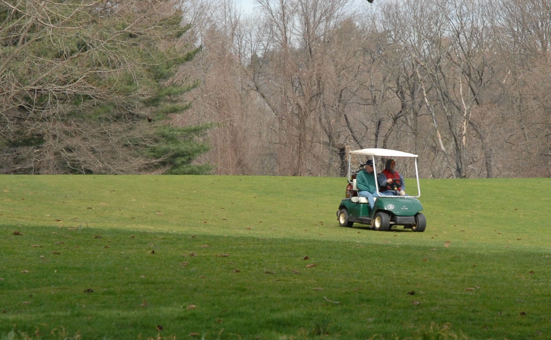 golf cart services