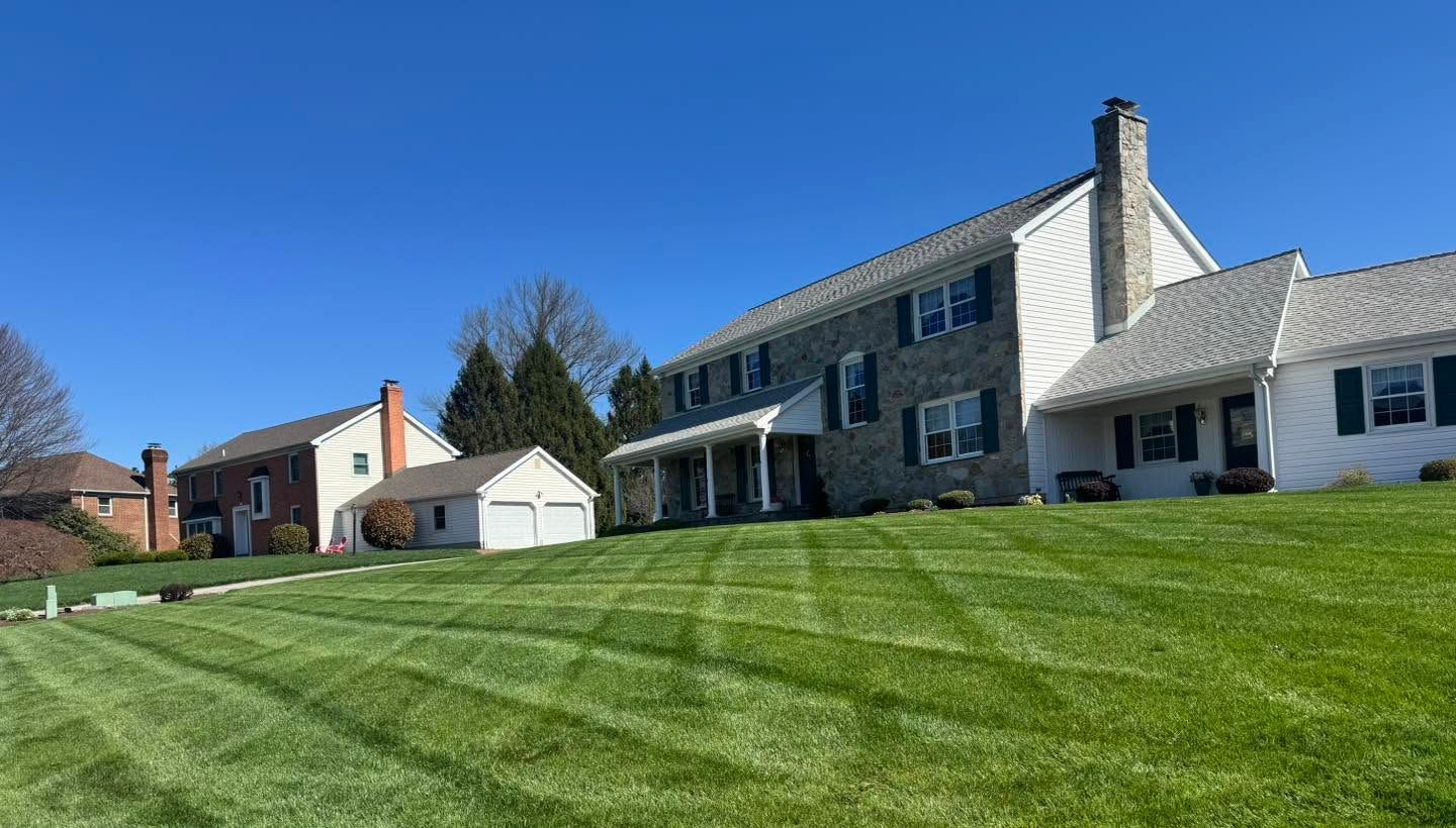 Row of suburban houses beside a neatly striped green lawn under a clear blue sky