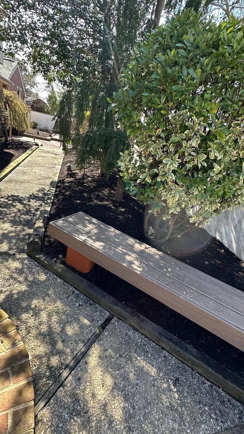 Outdoor bench under a leafy tree beside a gravel path in bright sunlight