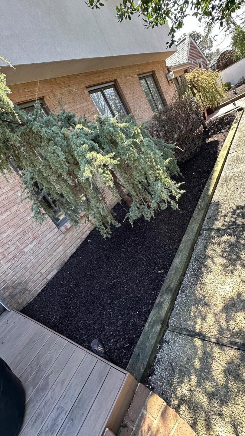 Small garden bed with a dense shrub beside a brick house and paved walkway
