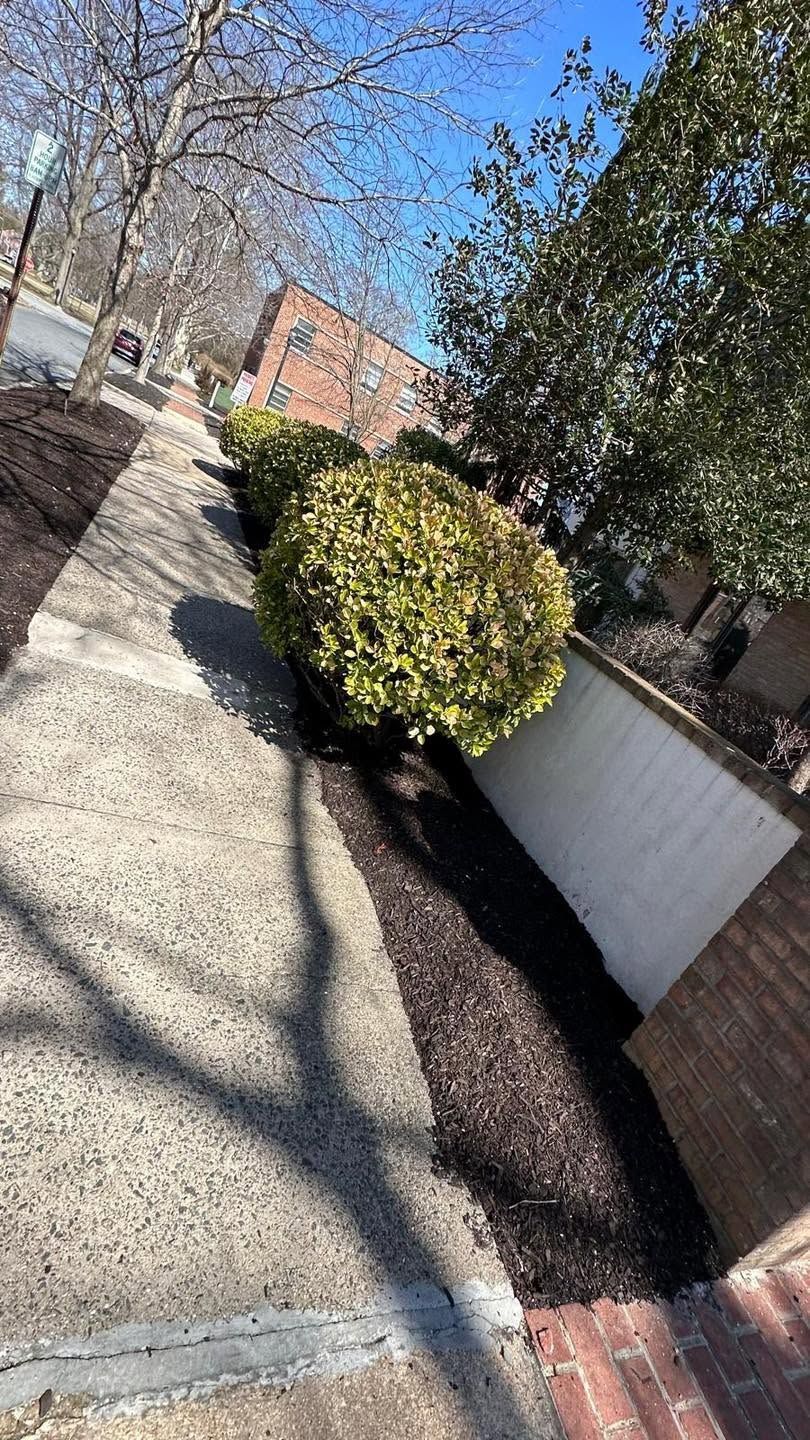 Sunny sidewalk beside brick walls and a trimmed shrub in a residential area