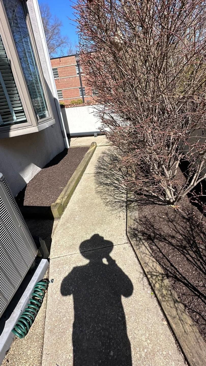 Sunny outdoor walkway beside a building, with bushes and a person’s shadow in the foreground.