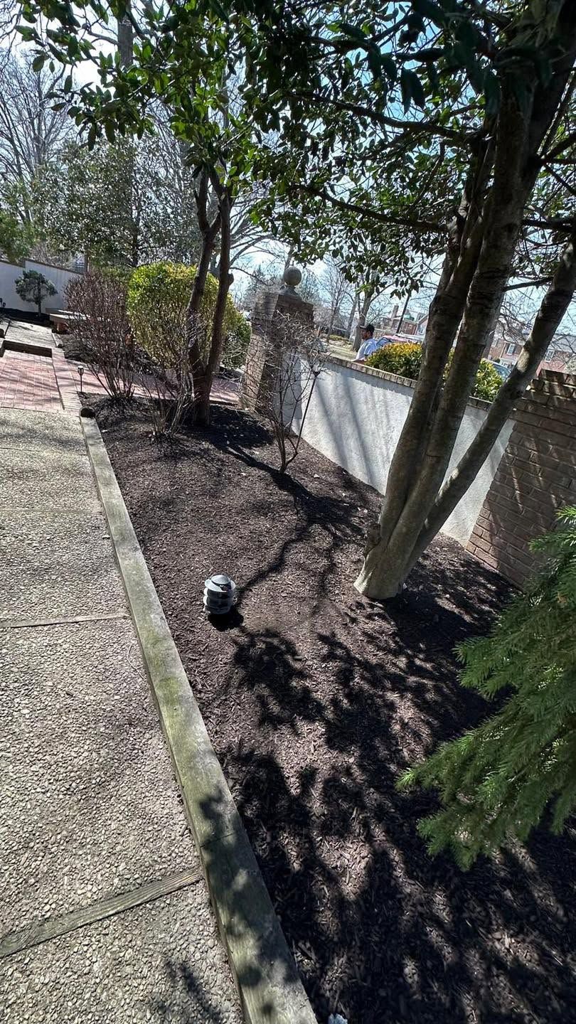 Mulch bed with several trees and shrubs along a concrete wall beside a grassy lawn.