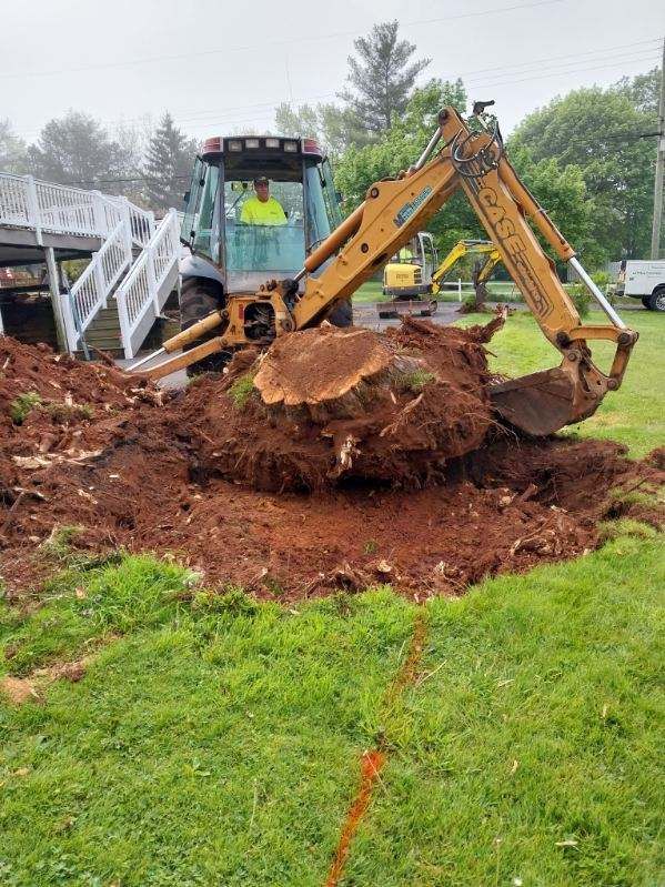 A tractor is digging a hole in the ground to remove a tree stump.