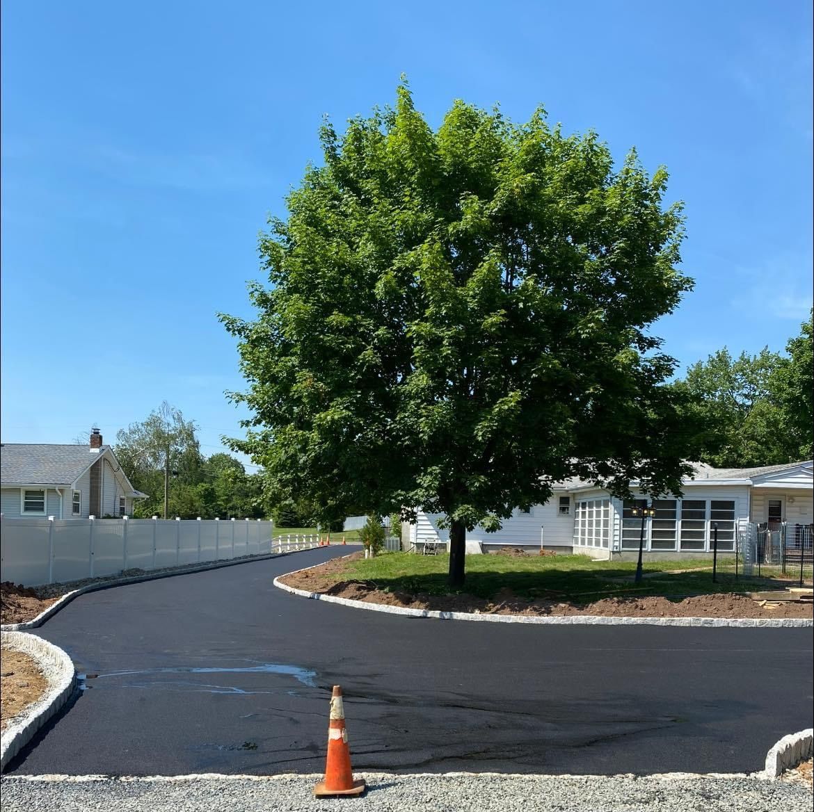 A large tree is in the middle of a road