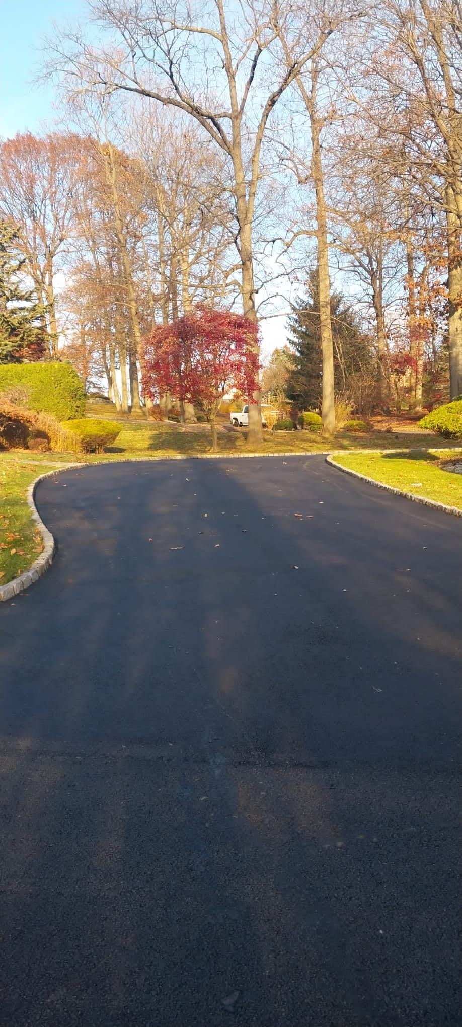 A black asphalt driveway surrounded by trees on a sunny day.