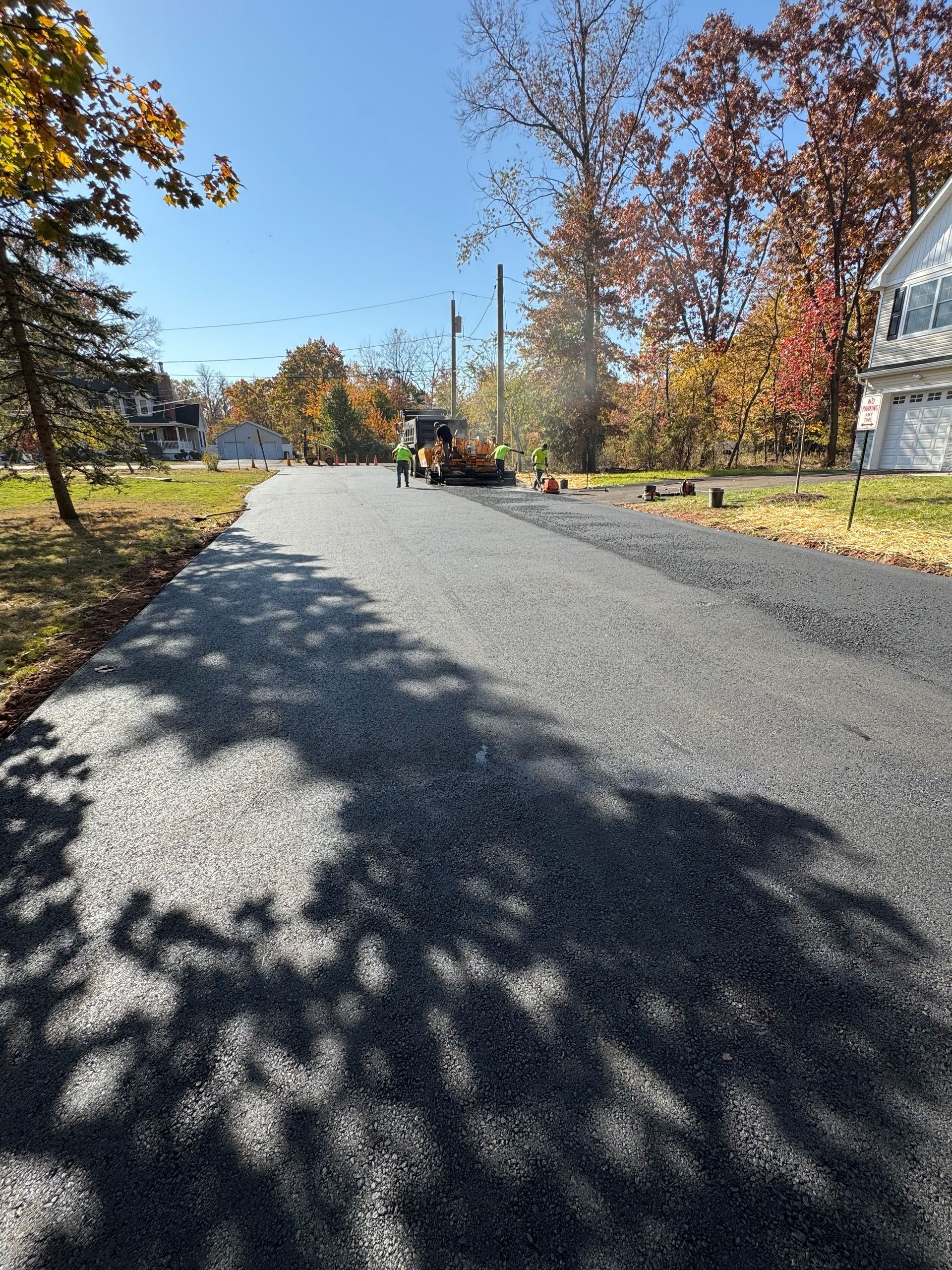 A shadow of a tree is cast on a road