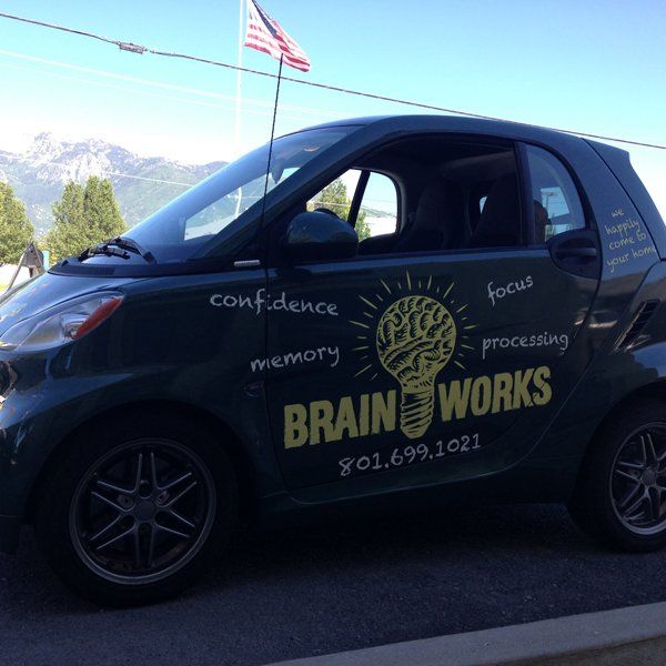 Vehicle wrap