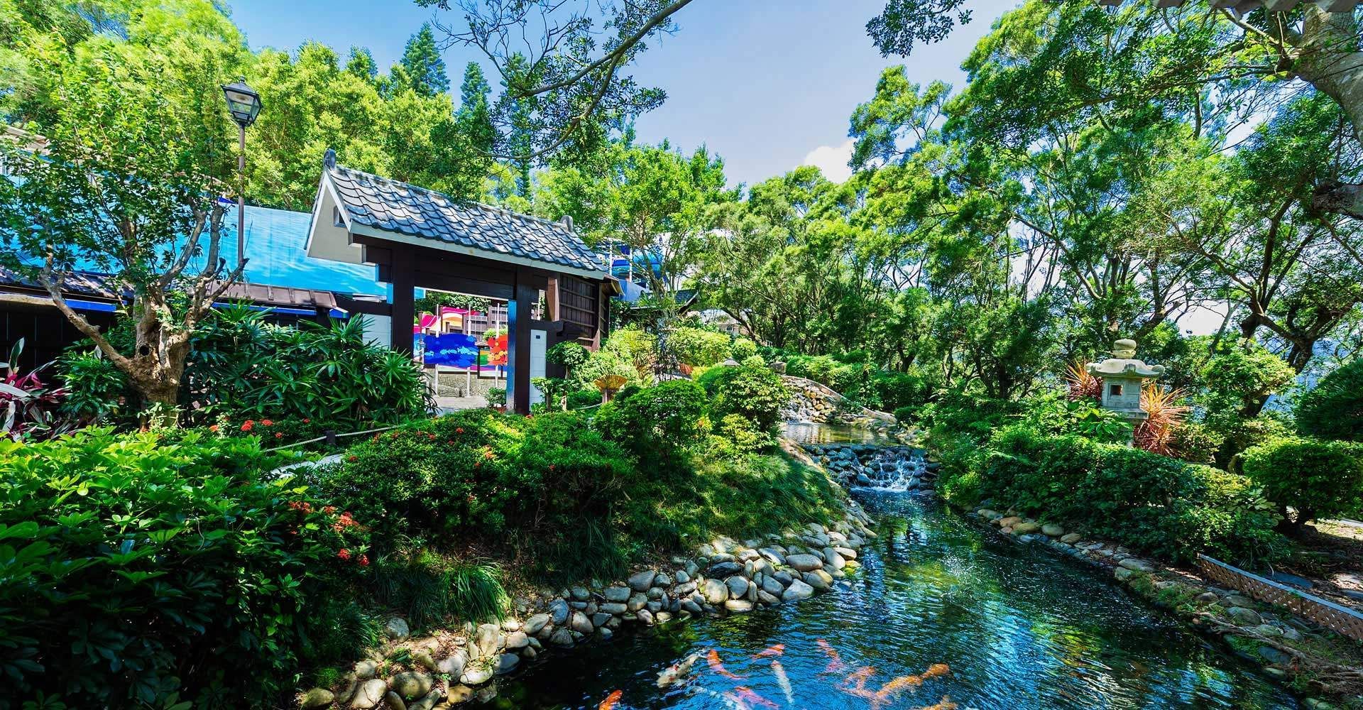 There is a pond in the middle of a forest surrounded by trees.
