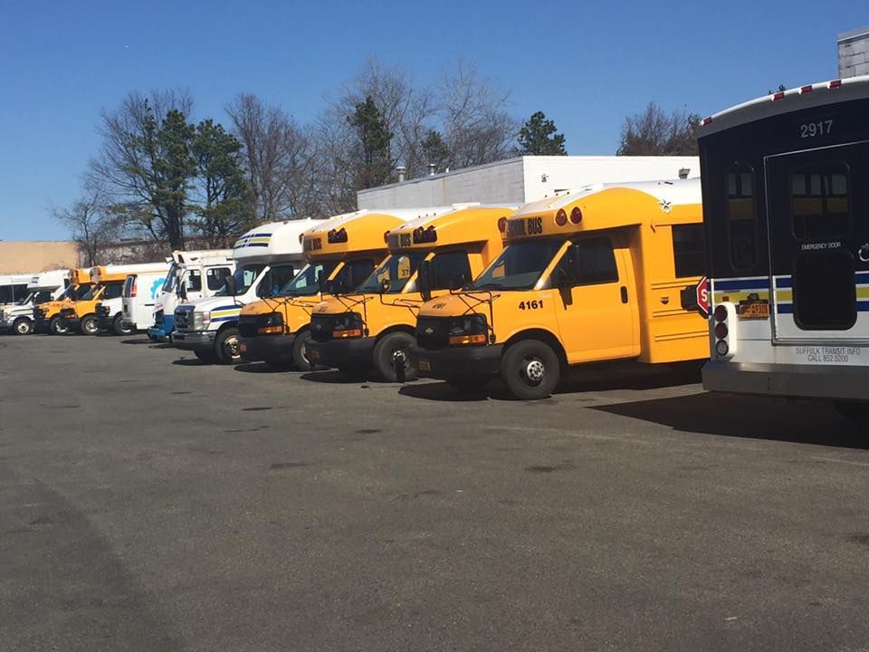 a row of school buses are parked in a parking lot