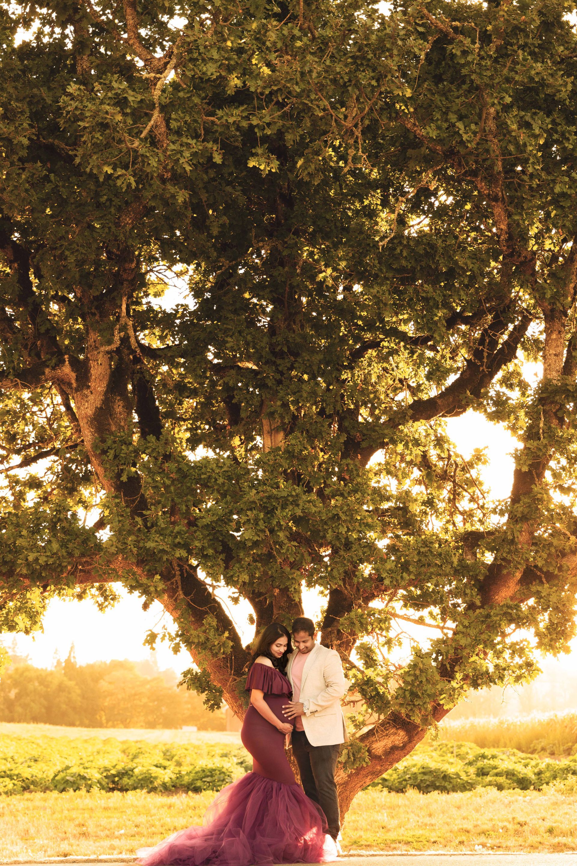 A pregnant woman and a man are standing under a tree.