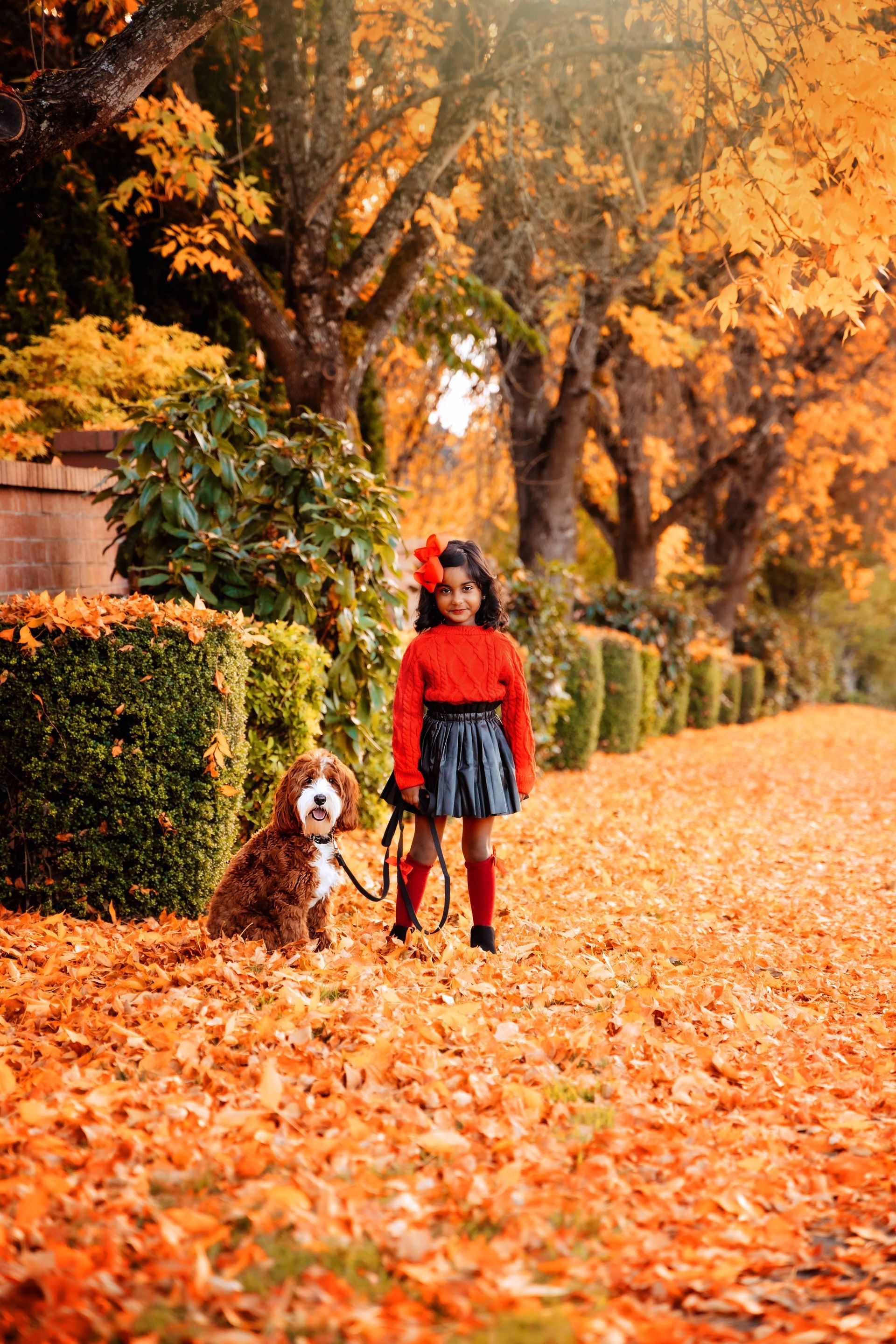 A little girl is walking a dog on a leash in a park.