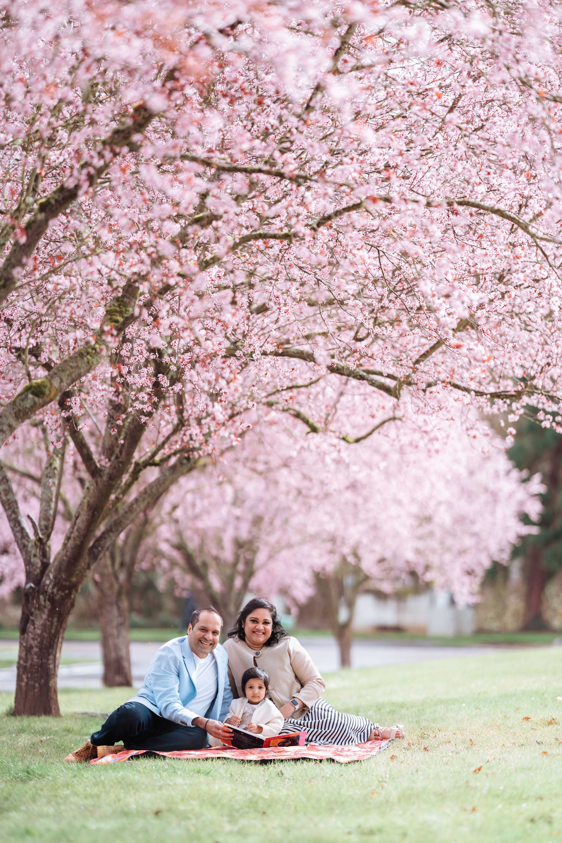 A family is sitting on a blanket under cherry blossom trees.