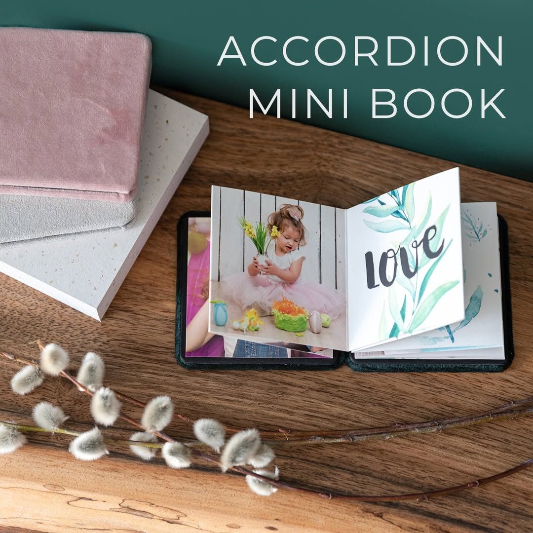 Accordion mini book
