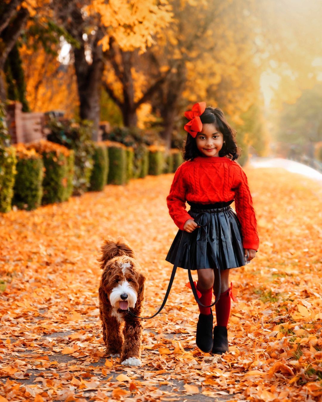 Girl and dog