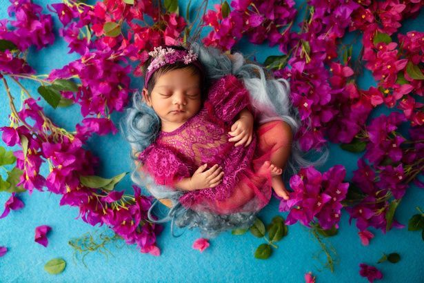 A newborn baby is sleeping in a basket surrounded by purple flowers