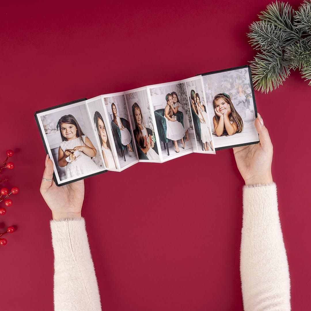 Accordion picture book