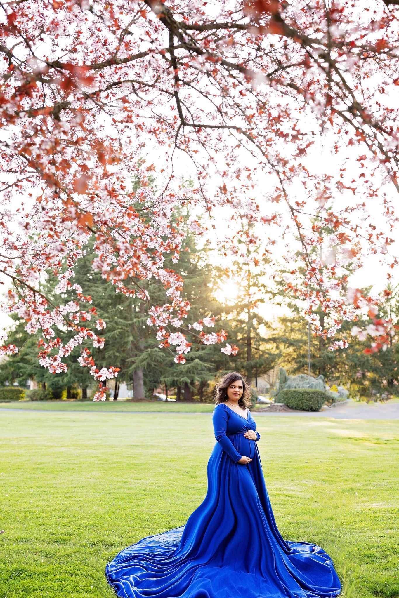 A pregnant woman in a blue dress is standing in a park under a cherry blossom tree