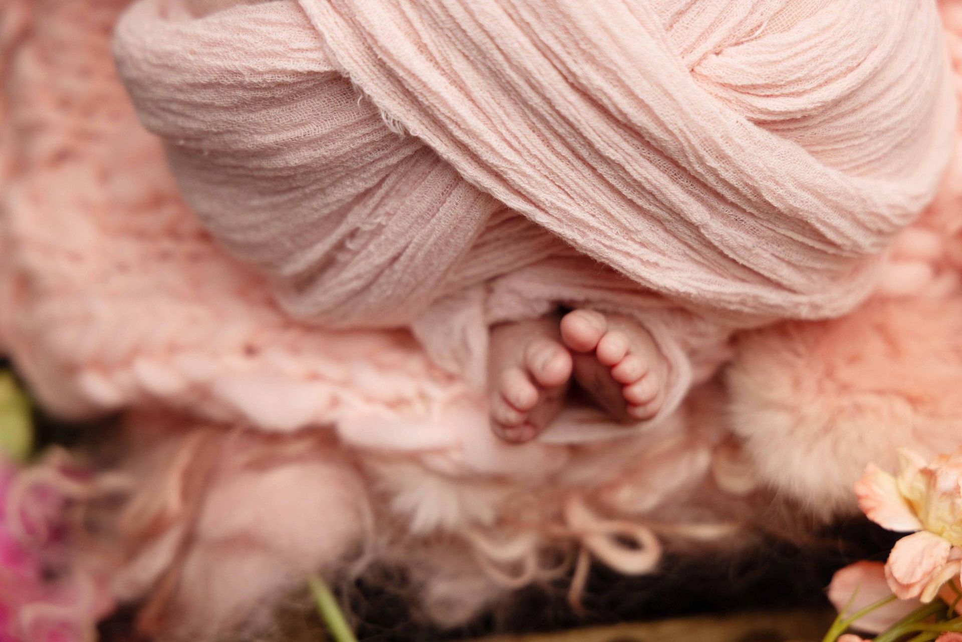 A close-up of a baby's feet wrapped in a pink blanket.