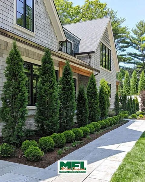House exterior with evergreen trees, rounded shrubs, and a paved walkway.