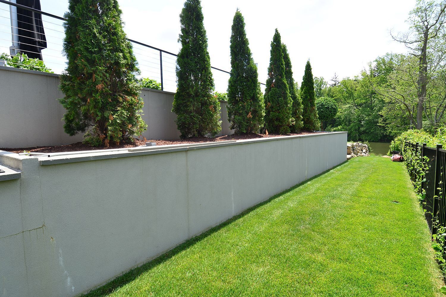 a row of tall, narrow evergreen trees in a raised concrete planter against a lawn