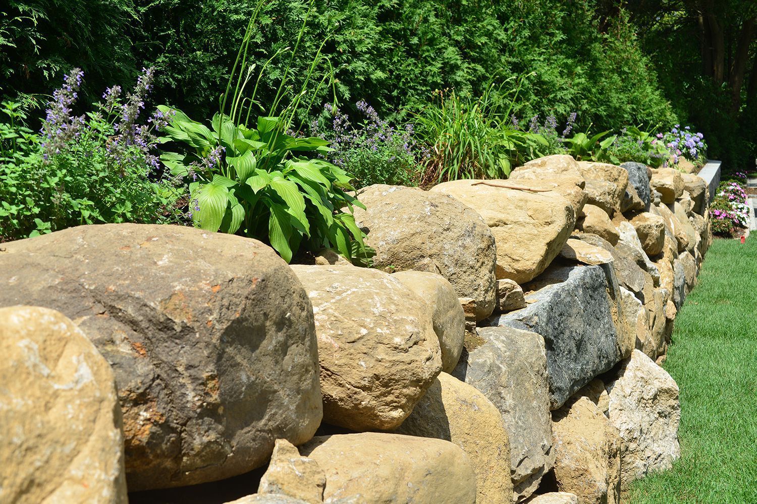 stone retaining wall bordering a lush green garden with various plants