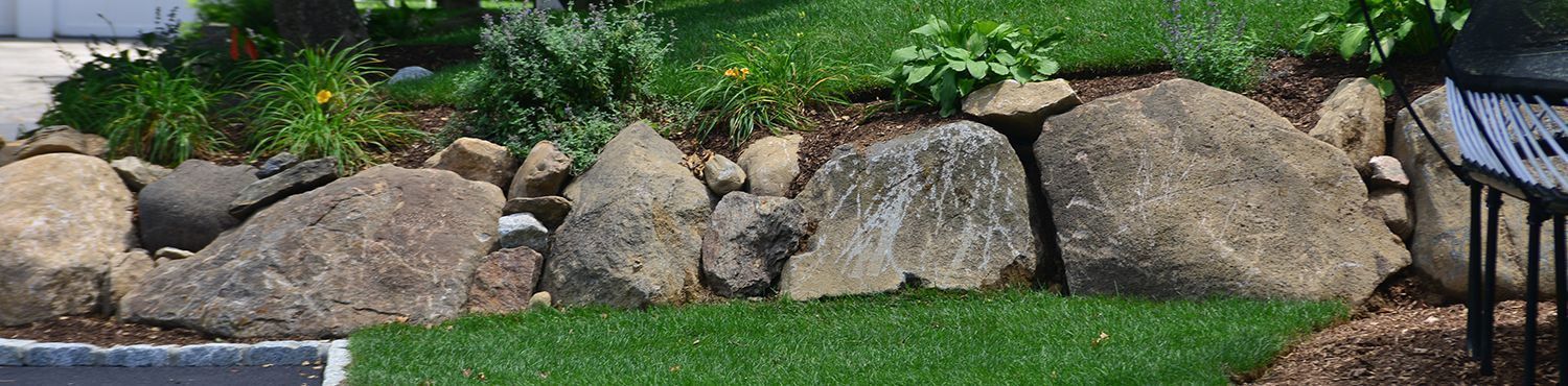 a rock garden with green grass in front and plants in the back