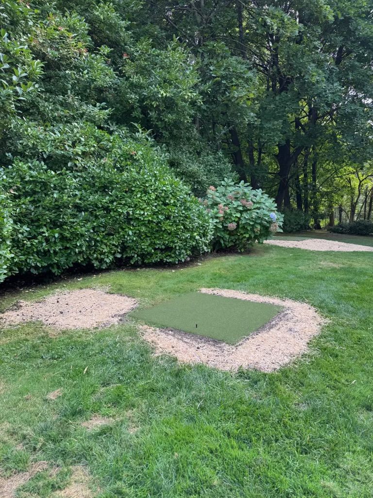 Small grassy yard with a muddy rectangular patch and trees along the edge