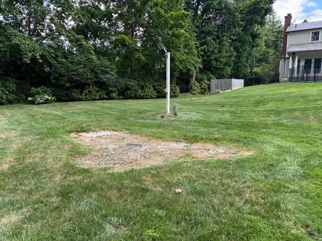 Patchy grass yard with a white pole, trees, and a house in the background