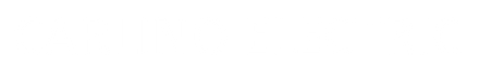 Carlino Electric - logo