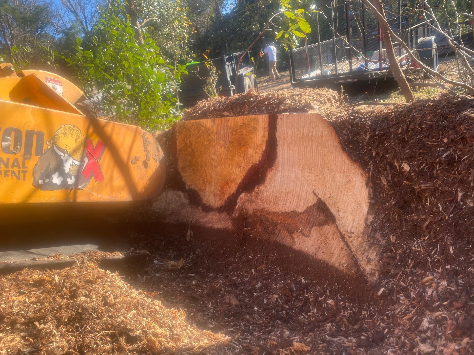 A large piece of wood is sitting on top of a pile of mulch.