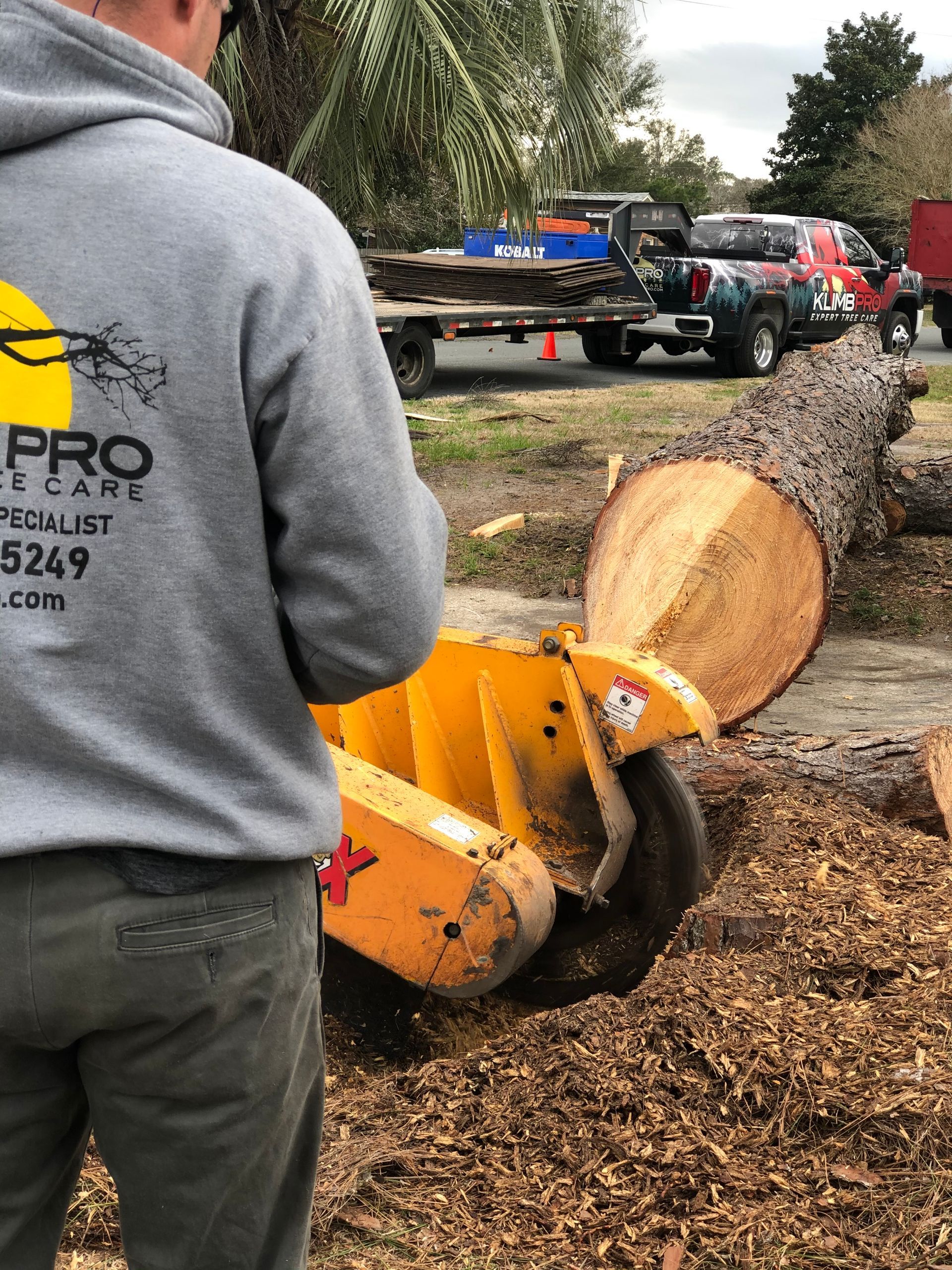 A man in a gray hoodie is standing next to a large tree stump.