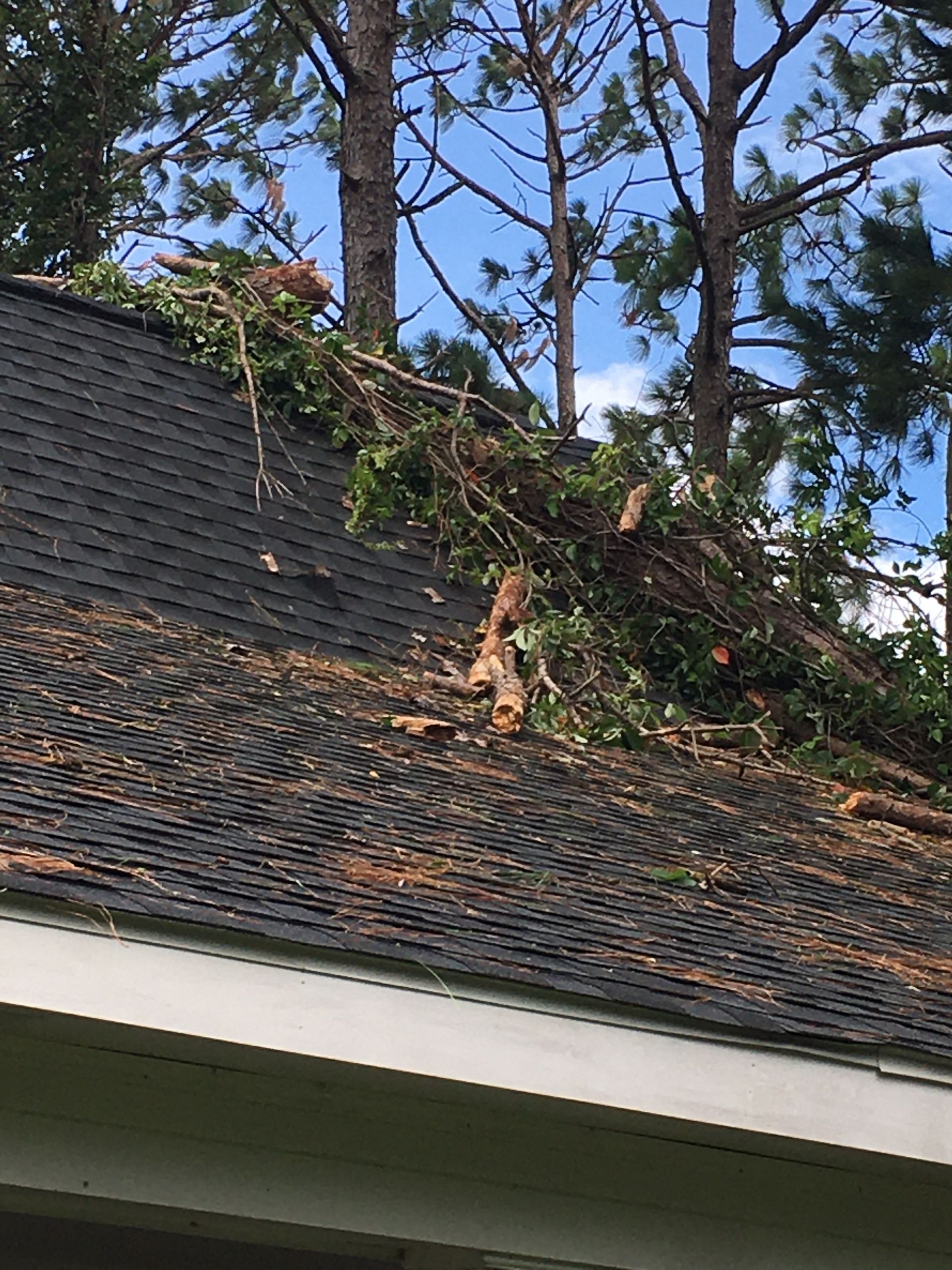 A tree has fallen on the roof of a house.