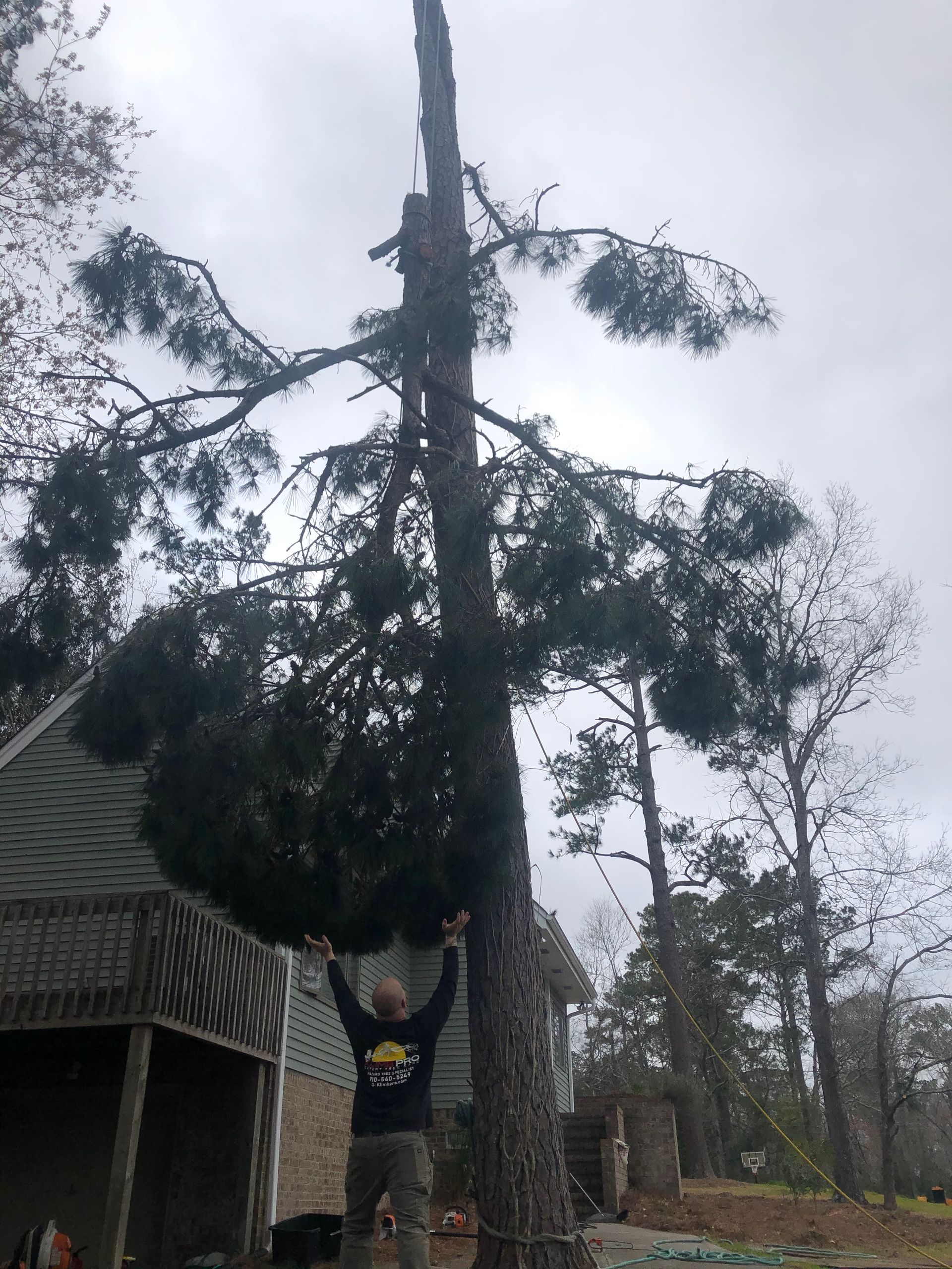 A man is standing next to a fallen tree in front of a house.