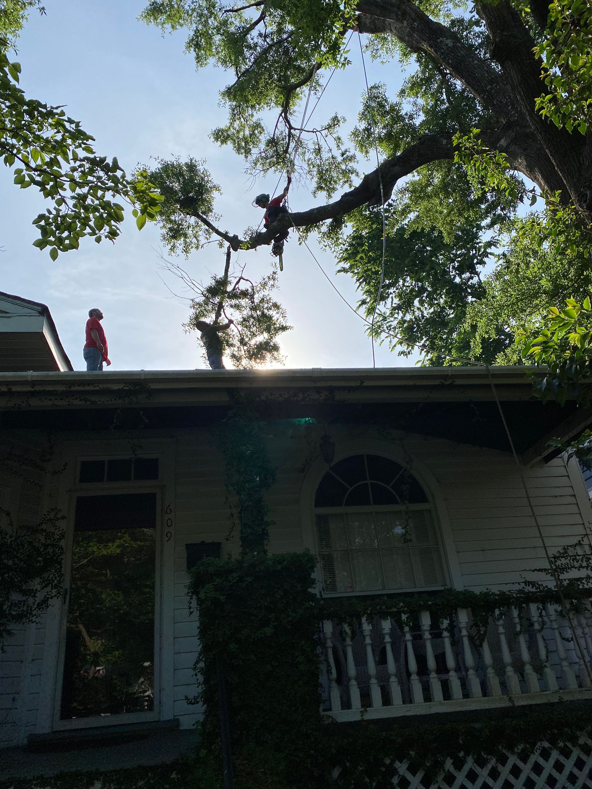 A man is climbing a tree on the roof of a house